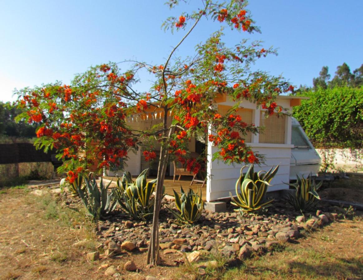 Nova Alofa Caravan Мончик Екстериор снимка